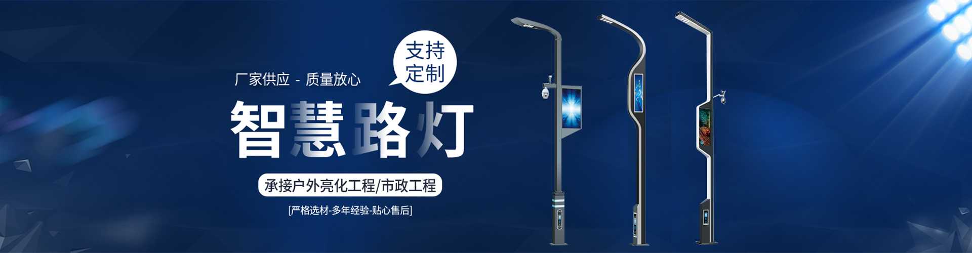 新洲区太阳能路灯定制厂家