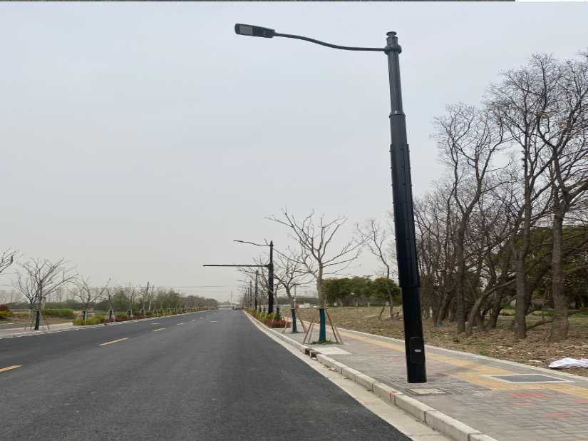 新洲区上海综合杆 太阳能路灯工程
